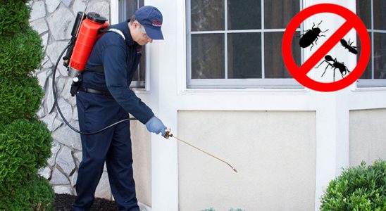 Saruhanlı Hamam Böceği İlaçlama böcek ilaçlama ve haşere kontrolü — ilaclama-tr.com